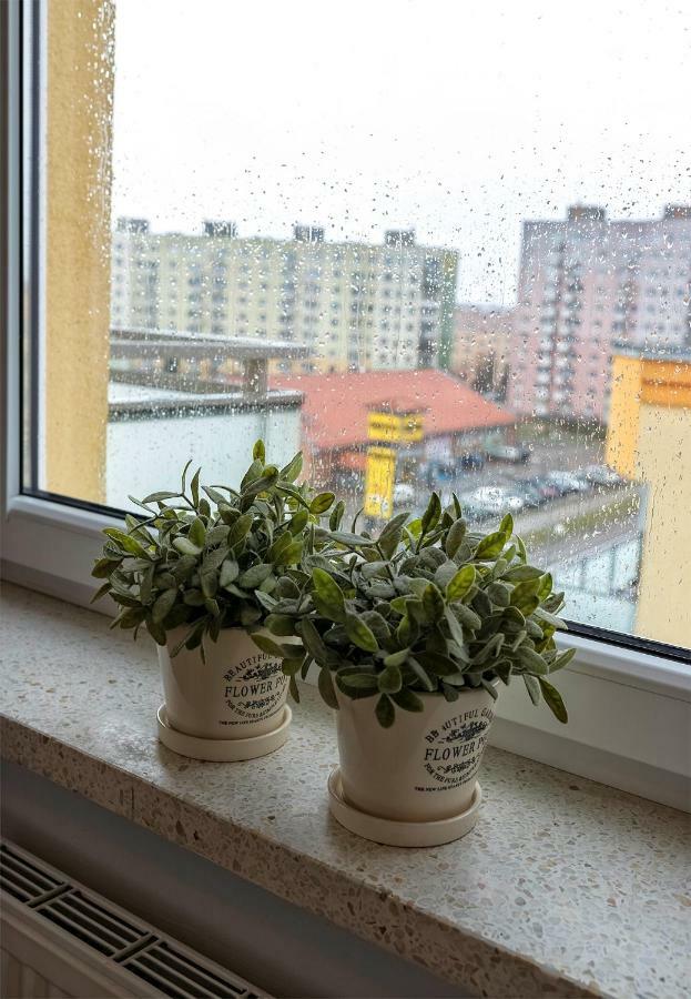 Top Floor Apartment Gorzów Wielkopolski Exteriör bild